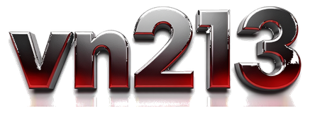 vn213 logo